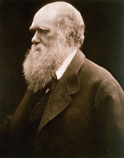 Charles Darwin, c.1870 by Julia Margaret Cameron